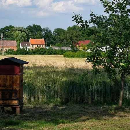 Borow * Prusice