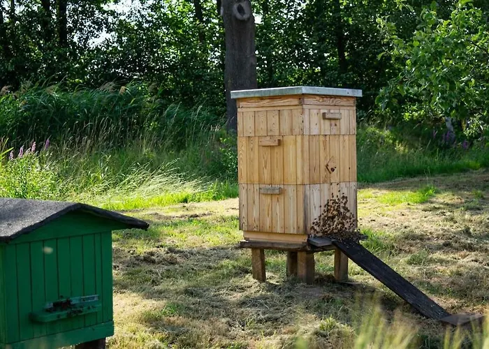 Holiday home Borow Prusice