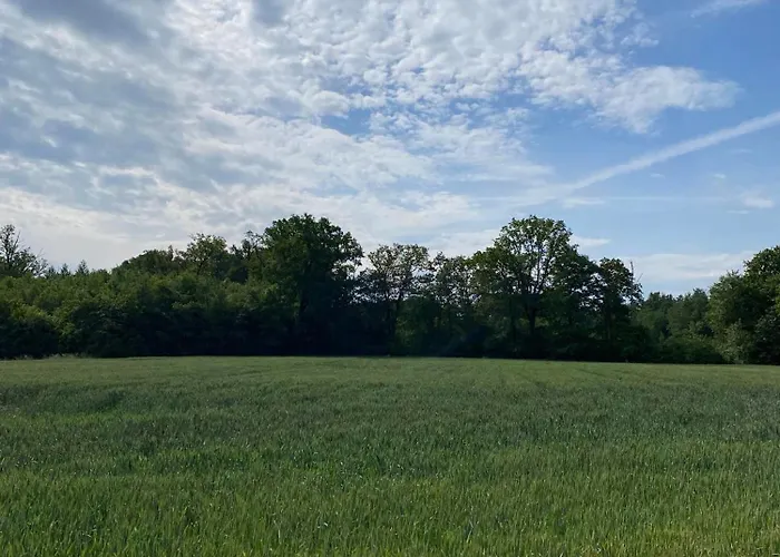 Holiday home Borow *