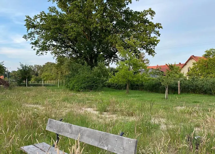 Borow Holiday home *